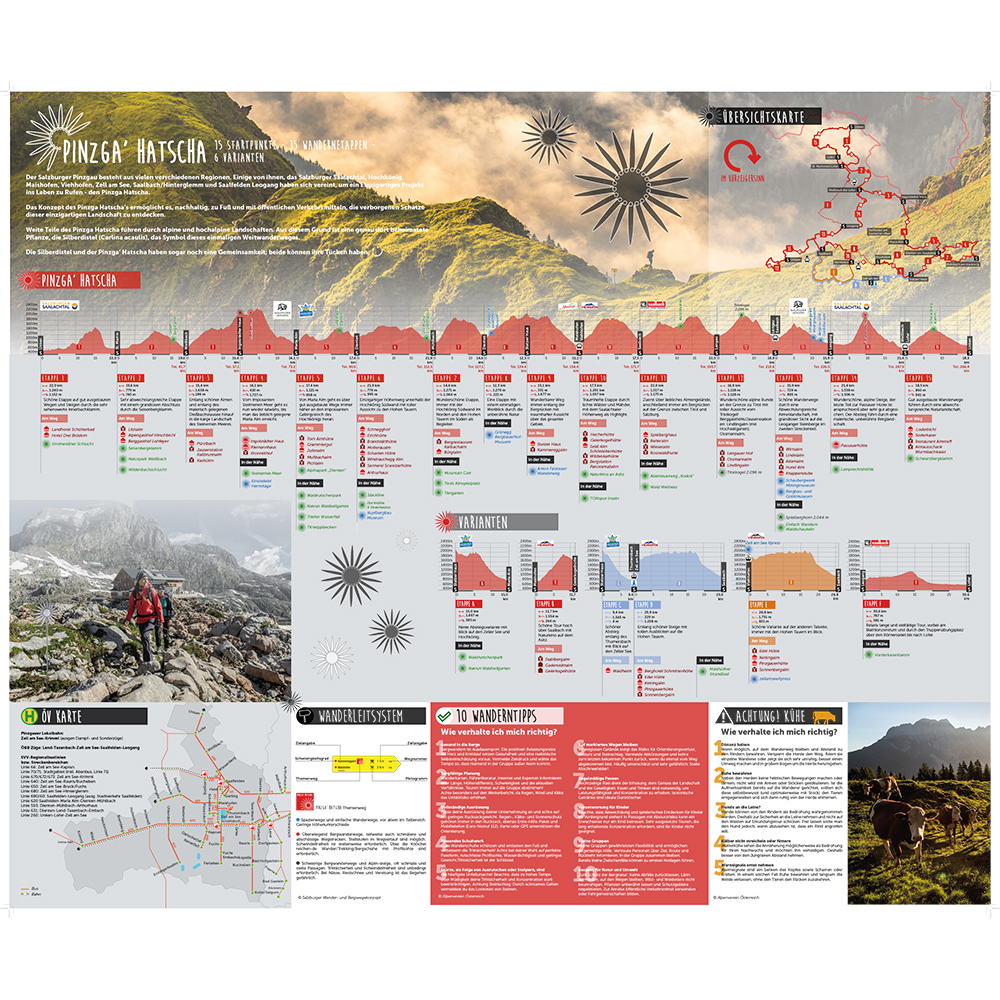 06_Beratung_Pingza Hatscha-3